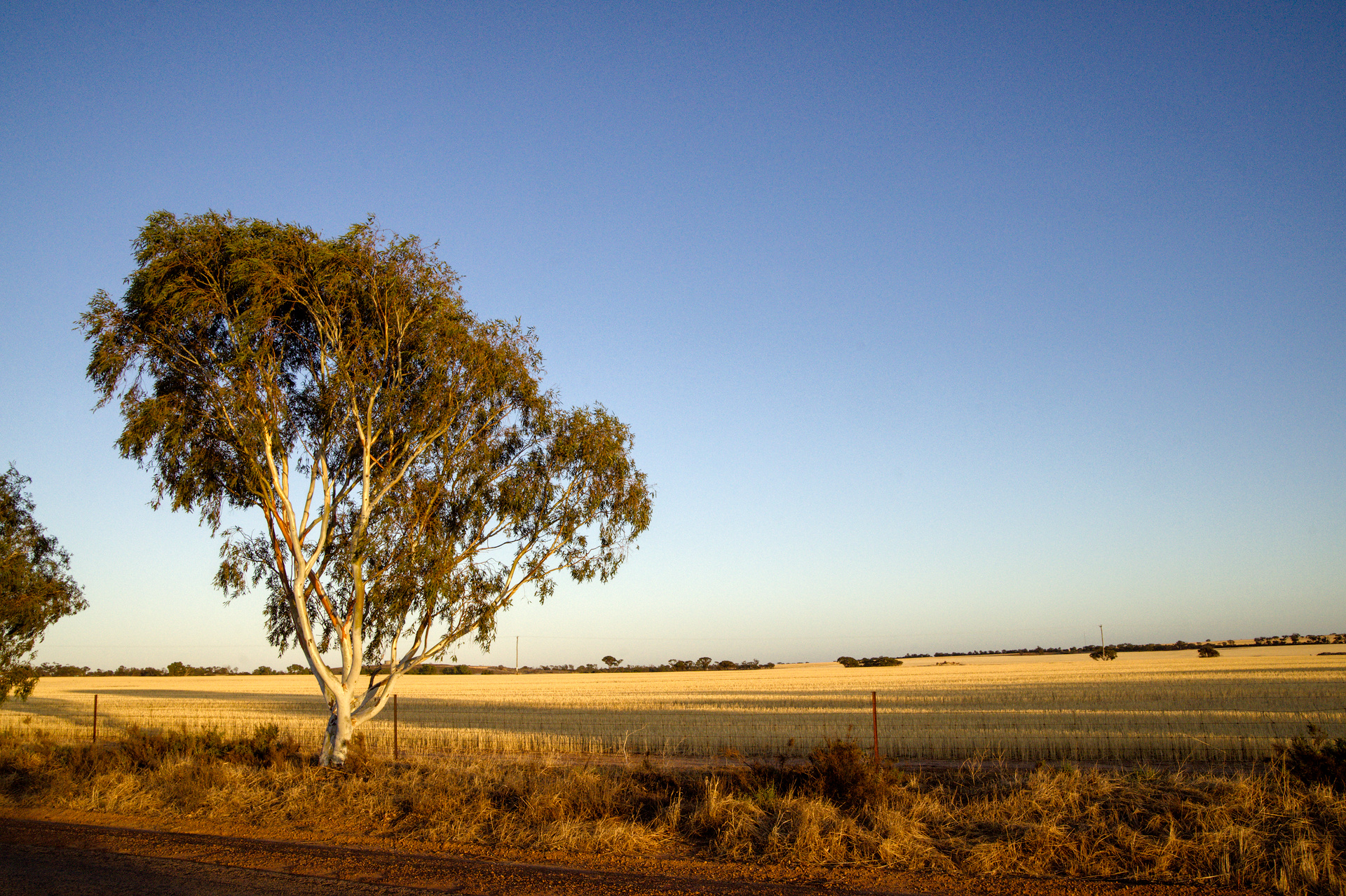 Wheatbelt country, Western Australia